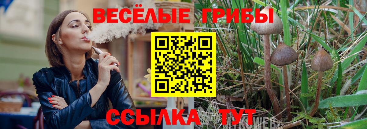 Галлюциногенные грибы Psilocybine cubensis Миасс