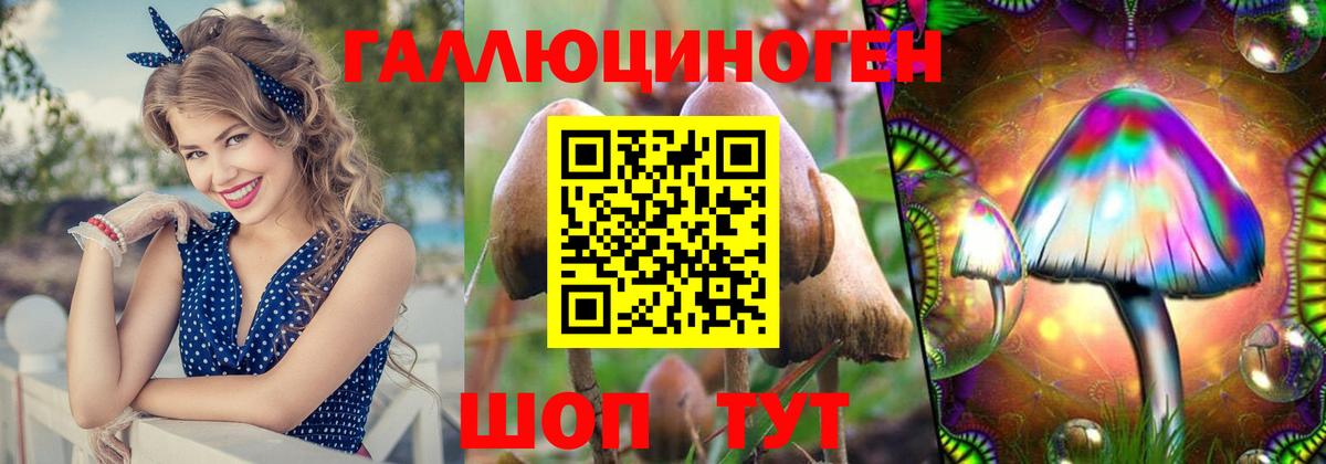 Миасс  Псилоцибиновые грибы Cubensis  Псилоцибиновые грибы ЛСД  Вход с VPN 